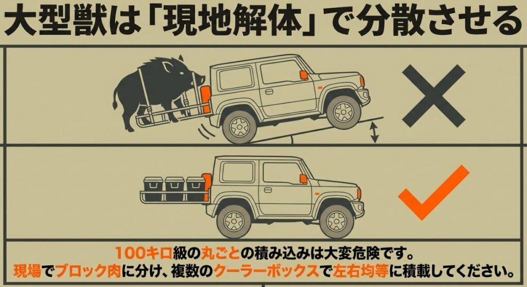 大型のイノシシを丸ごと載せず、現地で分けて複数のクーラーボックスへ左右均等に積載する例